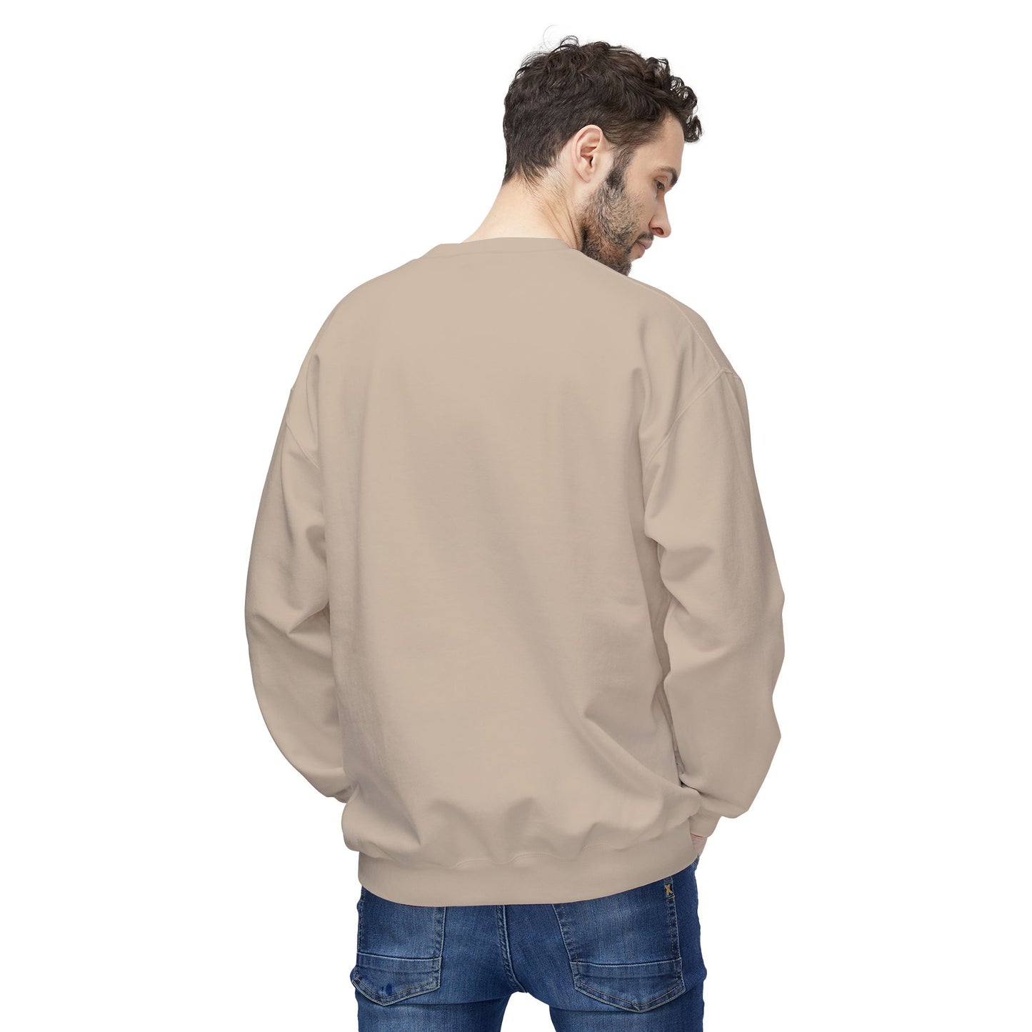 Softstyle Sweatshirt - Arches National Park Fleece Sweatshirt